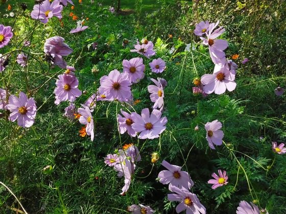 Камера Instax Mini LiPlay+ выводит печать на новый уровень