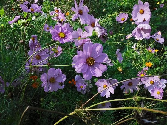 Камера Instax Mini LiPlay+ выводит печать на новый уровень