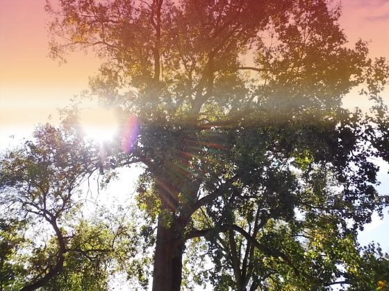 Камера Instax Mini LiPlay+ выводит печать на новый уровень