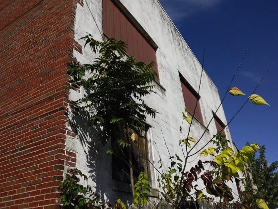 Камера Instax Mini LiPlay+ выводит печать на новый уровень