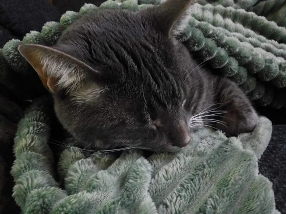 Камера Instax Mini LiPlay+ выводит печать на новый уровень