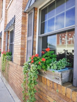 Камера Instax Mini LiPlay+ выводит печать на новый уровень