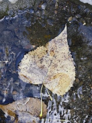 Камера Instax Mini LiPlay+ выводит печать на новый уровень