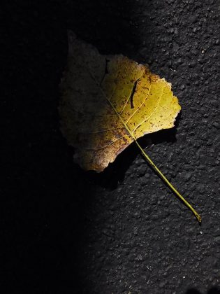 Камера Instax Mini LiPlay+ выводит печать на новый уровень