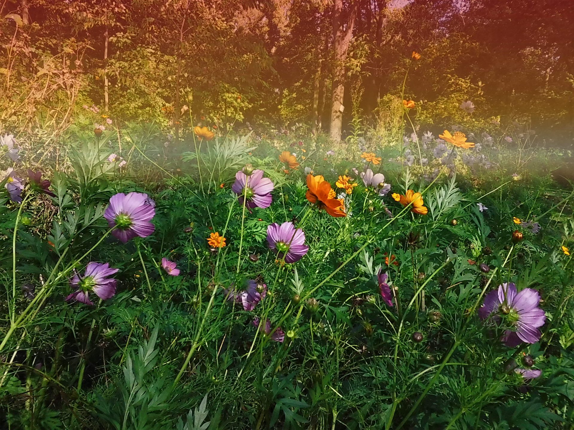 Камера Instax Mini LiPlay+ выводит печать на новый уровень