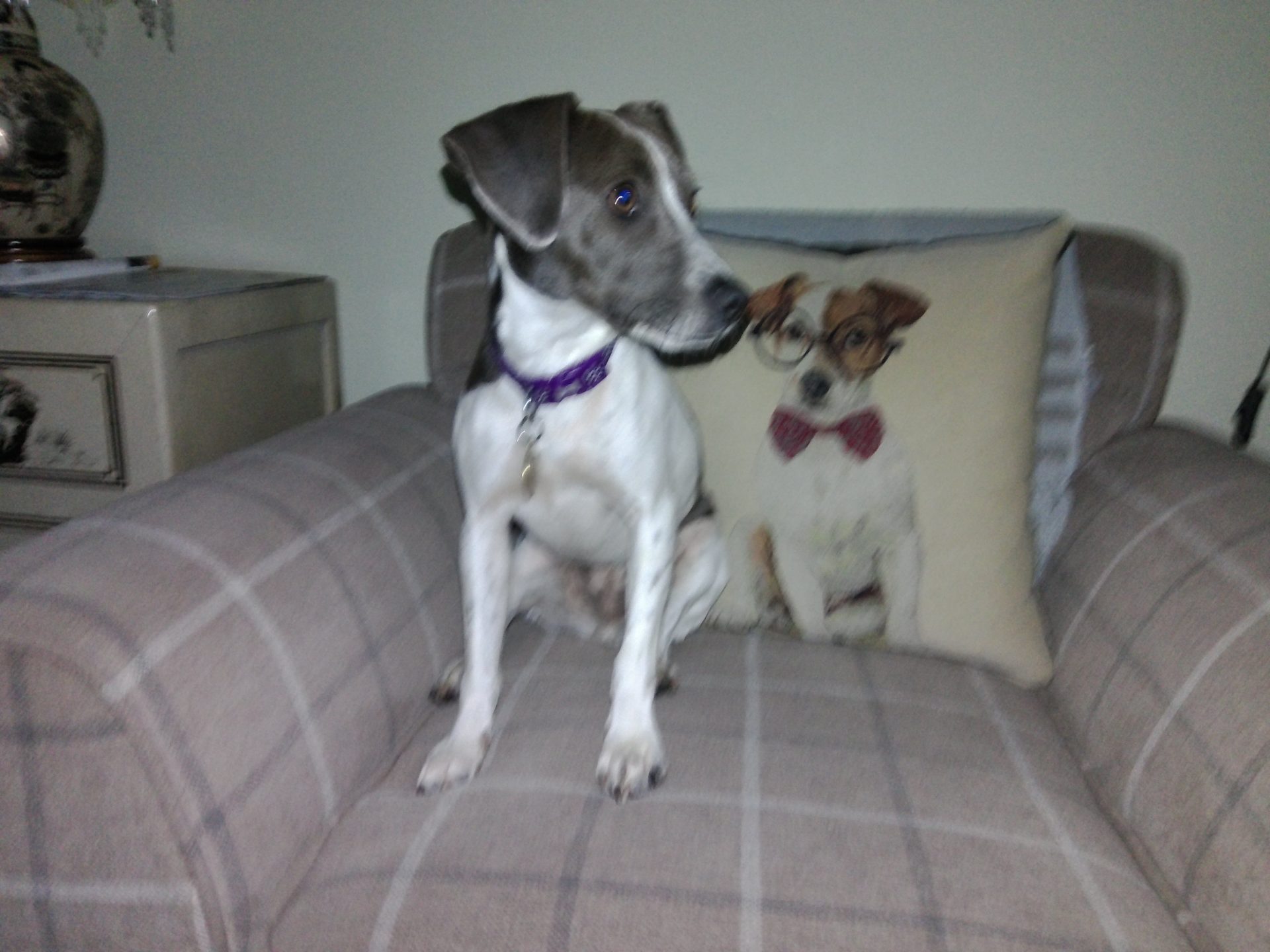 Камера Kodak PixPro C1: стильная, но медленная и шумная