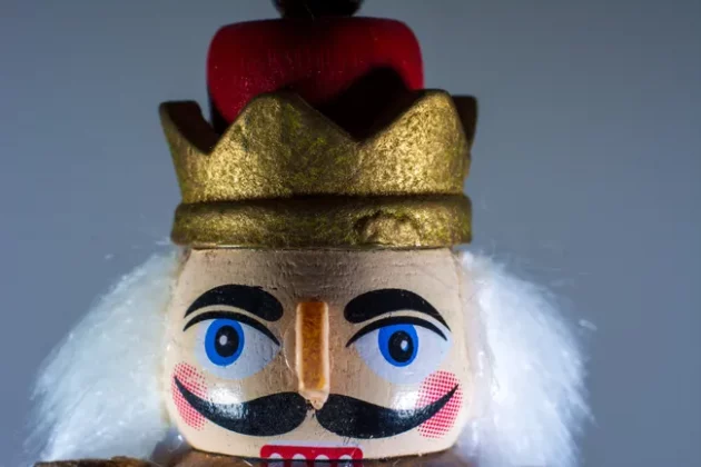 Kenko Auto Extension Tube Set DG