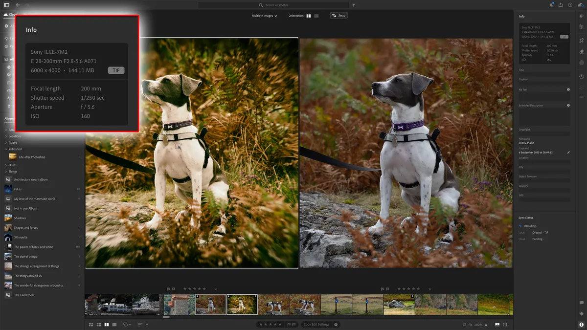 Обзор Adobe Lightroom - фотошоп для ленивых гениев картинка Adobe Lightroom: Фотошоп для ленивых гениев