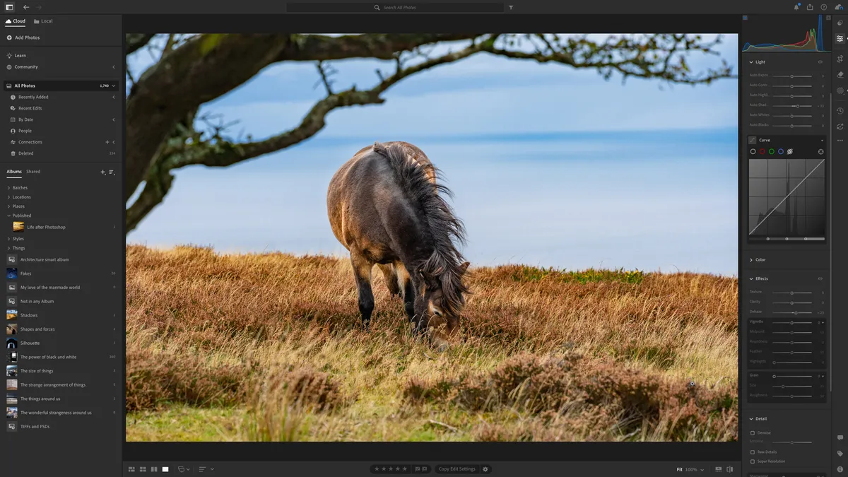 Обзор Adobe Lightroom - фотошоп для ленивых гениев картинка Adobe Lightroom: Фотошоп для ленивых гениев