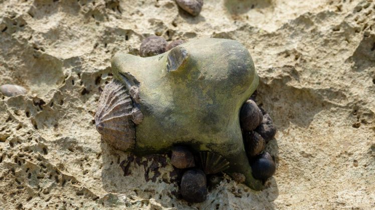 Lumix S 100-500mm F5-7.1 OIS – ультрателеобъектив