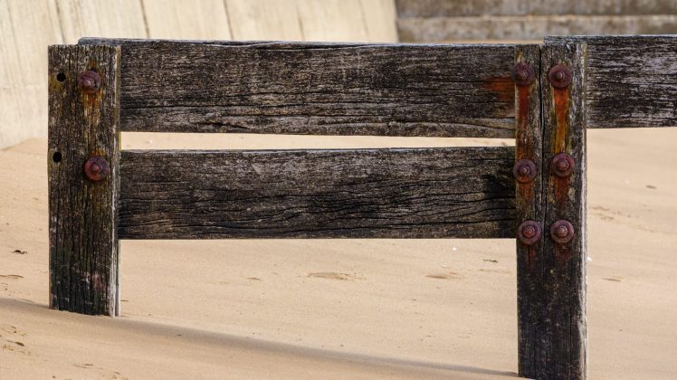 Lumix S 100-500mm F5-7.1 OIS – ультрателеобъектив