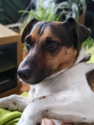 Motorola Edge 70 — это обман красивый корпус, слабая начинка и неадекватная цена