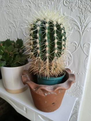 Motorola Edge 70 — это обман красивый корпус, слабая начинка и неадекватная цена