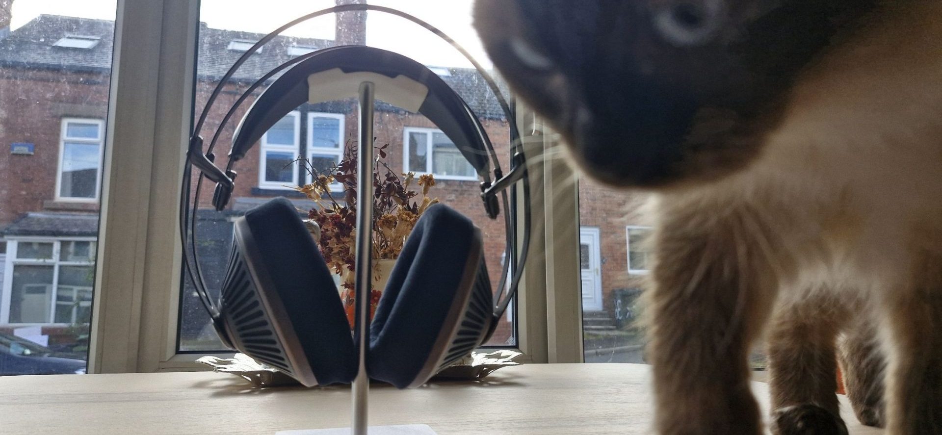 Обзор Meze Audio 105 Silva: уютный звук и румынский ответ философии «хюгге»