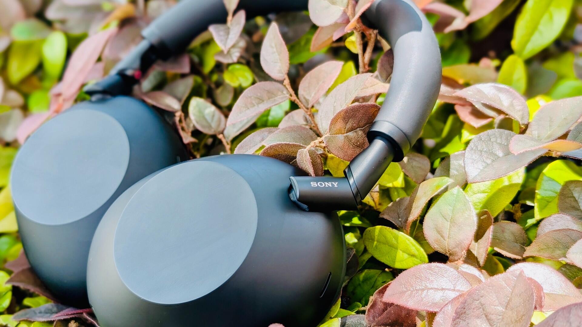 Наушники Sony WH-1000XM6: лучший звук, ANC и комфорт