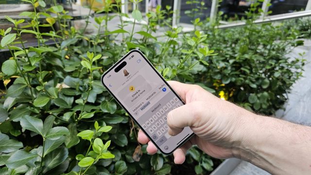 Нет, вы не разучились печатать Apple сломала клавиатуру в iOS 26, но чинить ее не собирается