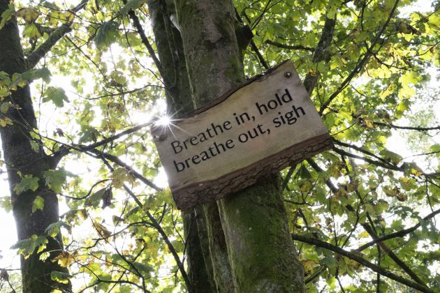 Nikon Z 24-70mm f/2.8 S II — профессиональный объектив