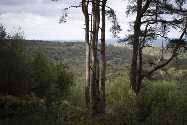 Nikon Z 24-70mm f/2.8 S II — профессиональный объектив