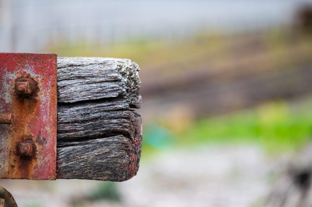 Объектив Laowa 200mm f/2 AF FF: светосильная «двухсотка»