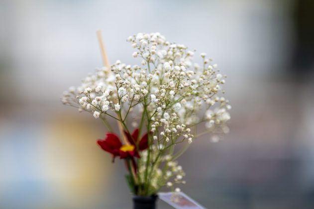 Объектив Laowa 200mm f/2 AF FF: светосильная «двухсотка»