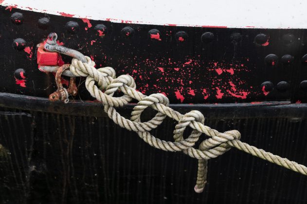 Объектив Laowa 200mm f/2 AF FF: светосильная «двухсотка»