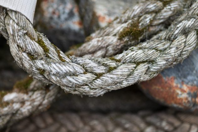 Объектив Laowa 200mm f/2 AF FF: светосильная «двухсотка»