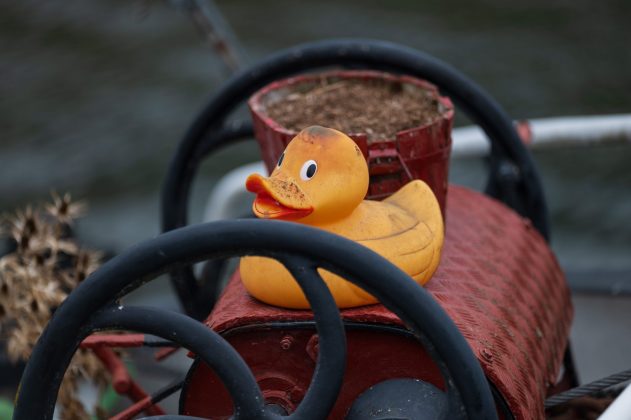 Объектив Laowa 200mm f/2 AF FF: светосильная «двухсотка»