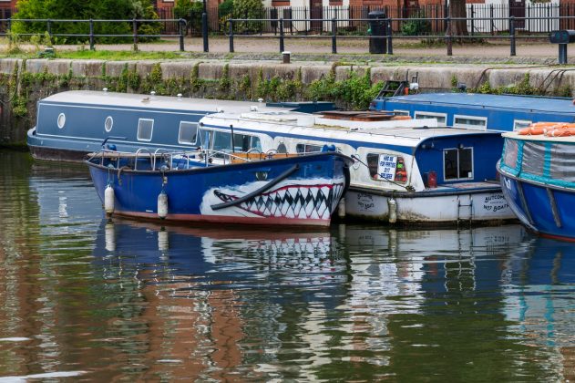 Объектив Laowa 200mm f/2 AF FF: светосильная «двухсотка»