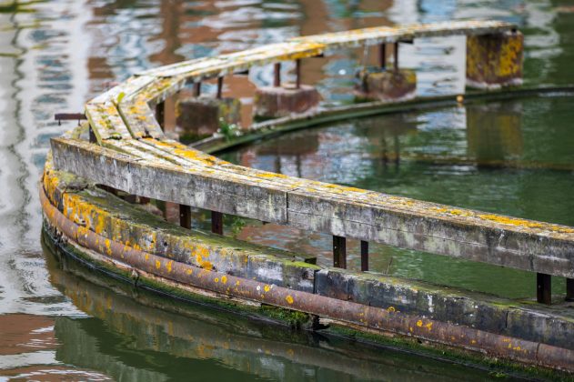 Объектив Laowa 200mm f/2 AF FF: светосильная «двухсотка»