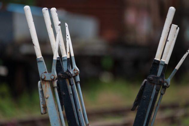 Объектив Laowa 200mm f/2 AF FF: светосильная «двухсотка»