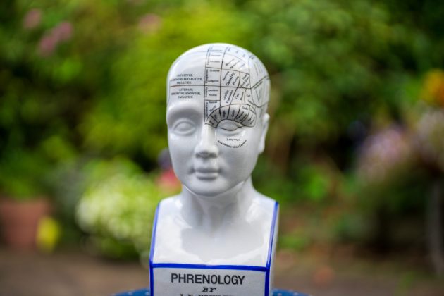 Объектив Viltrox AF 50mm f/1.4 Pro раскрывает потенциал