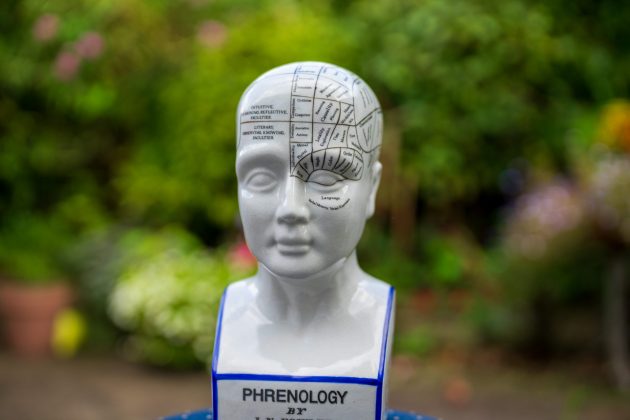 Объектив Viltrox AF 50mm f/1.4 Pro раскрывает потенциал