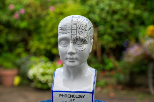 Объектив Viltrox AF 50mm f/1.4 Pro раскрывает потенциал