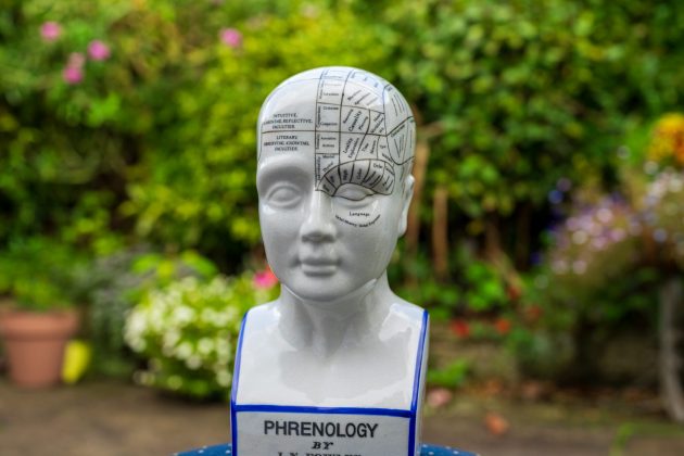 Объектив Viltrox AF 50mm f/1.4 Pro раскрывает потенциал