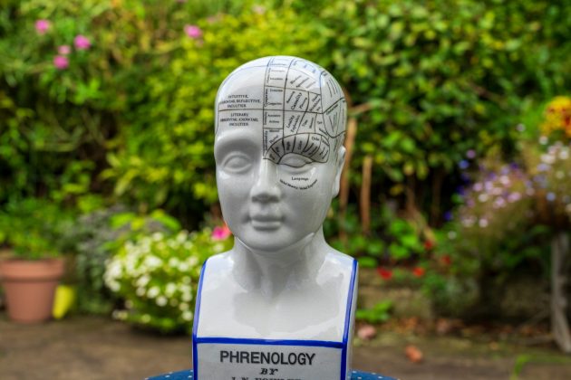 Объектив Viltrox AF 50mm f/1.4 Pro раскрывает потенциал