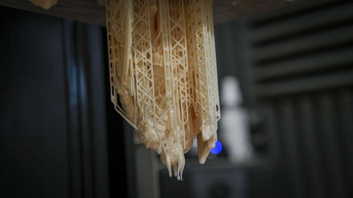 Обзор 3D-принтера Piocreat Halot-X1 — высокая детализация