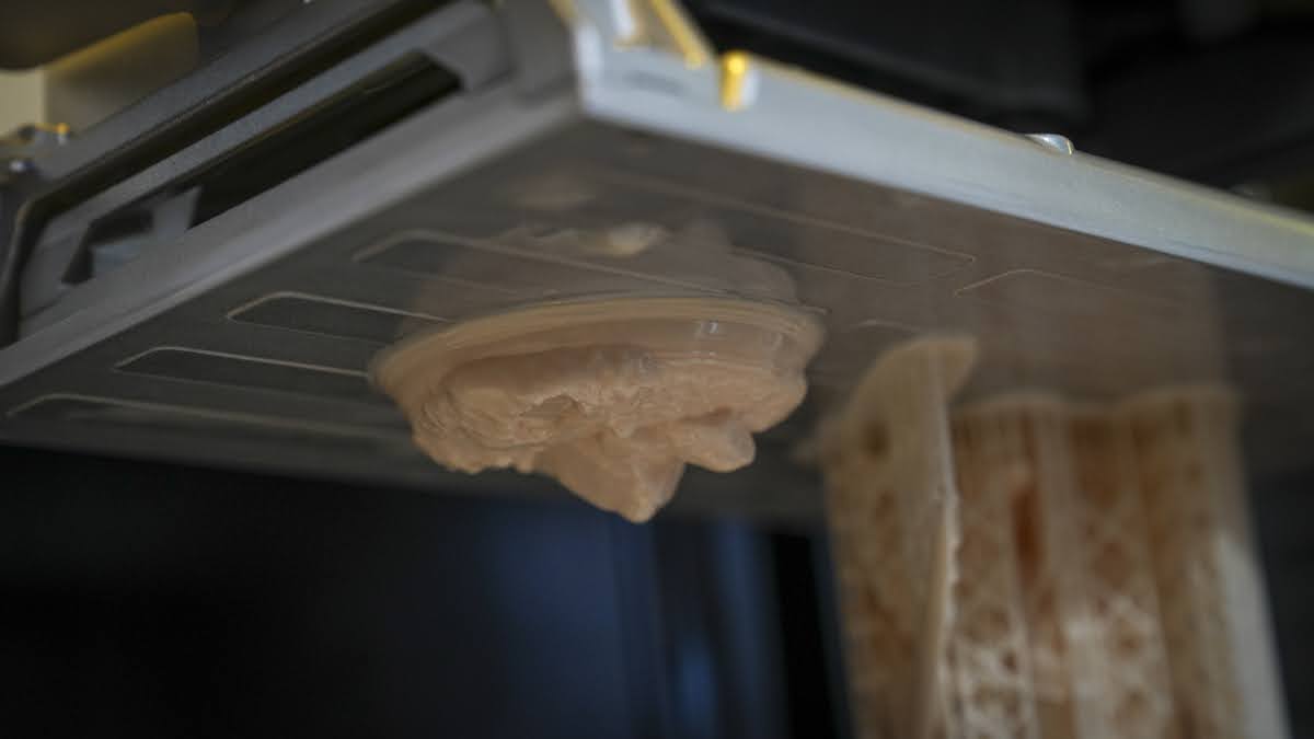 Обзор 3D-принтера Piocreat Halot-X1 — высокая детализация