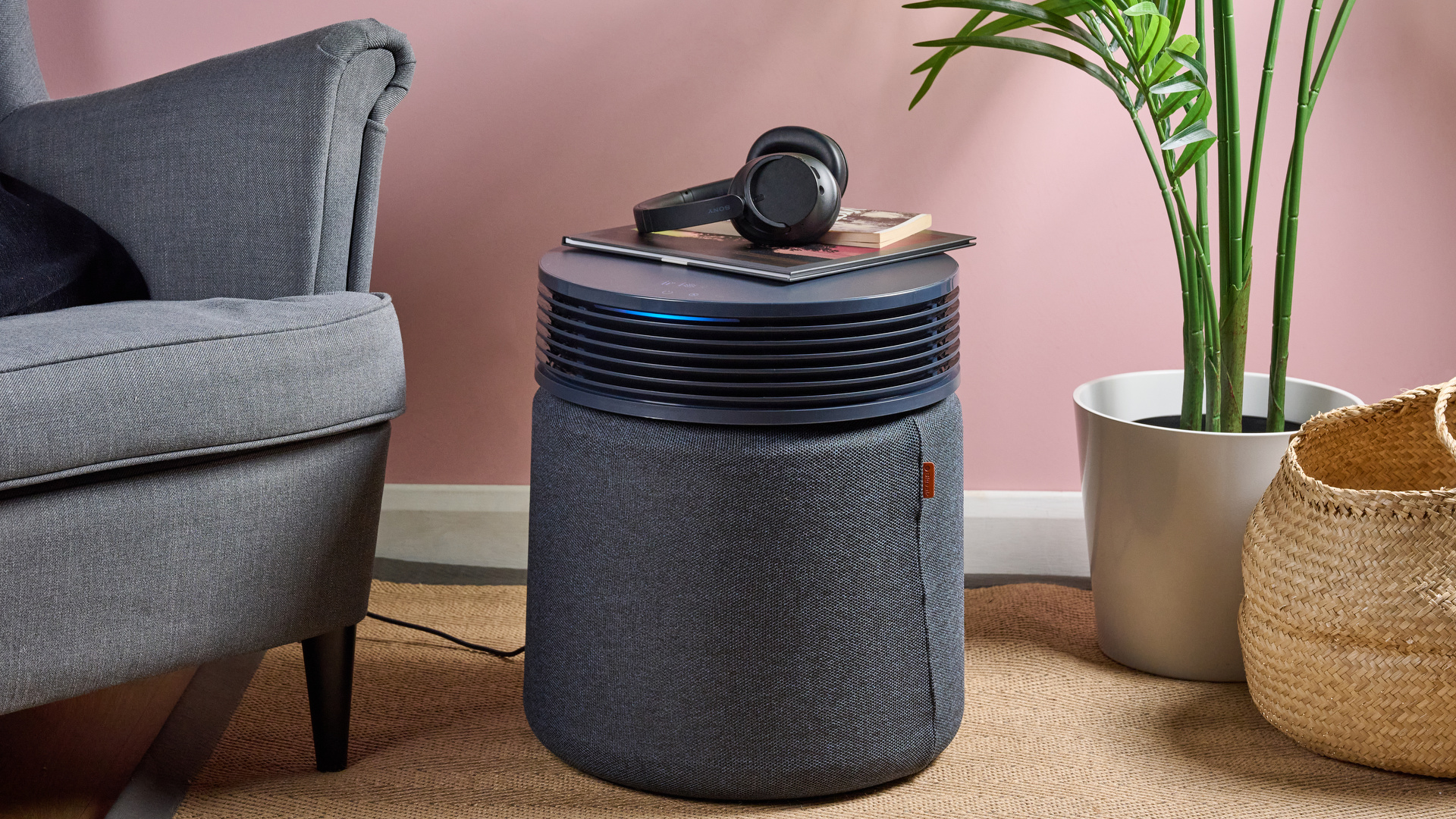 Обзор Blueair Blue Signature — стиль и эффективность