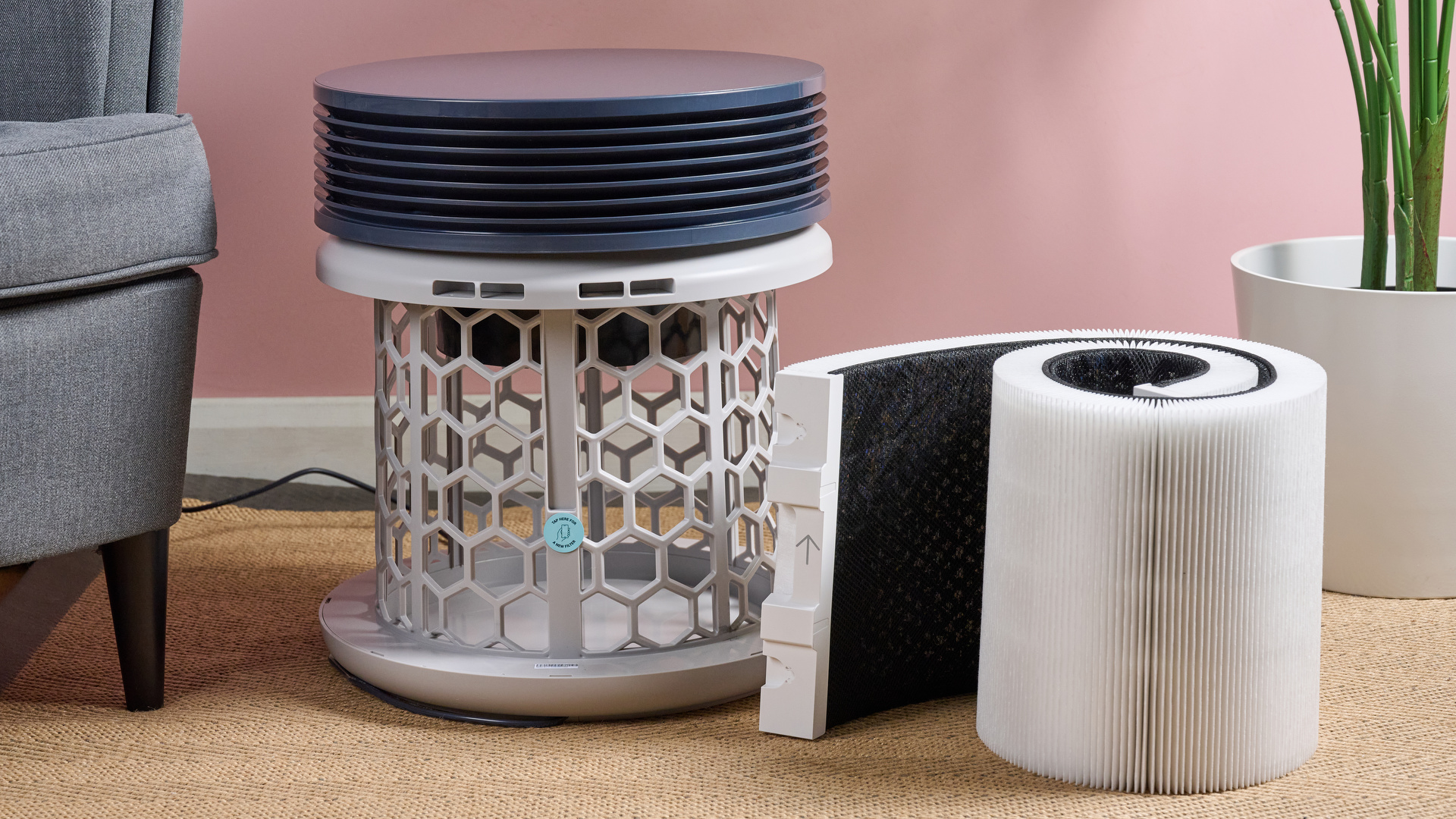 Обзор Blueair Blue Signature — стиль и эффективность