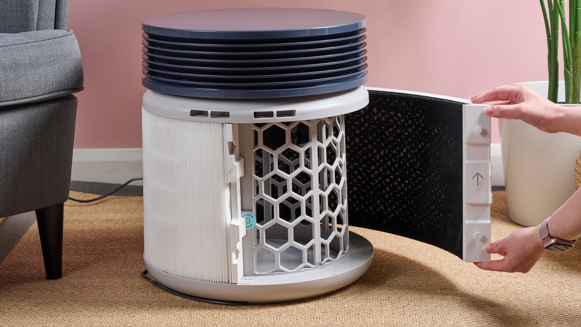 Обзор Blueair Blue Signature — стиль и эффективность