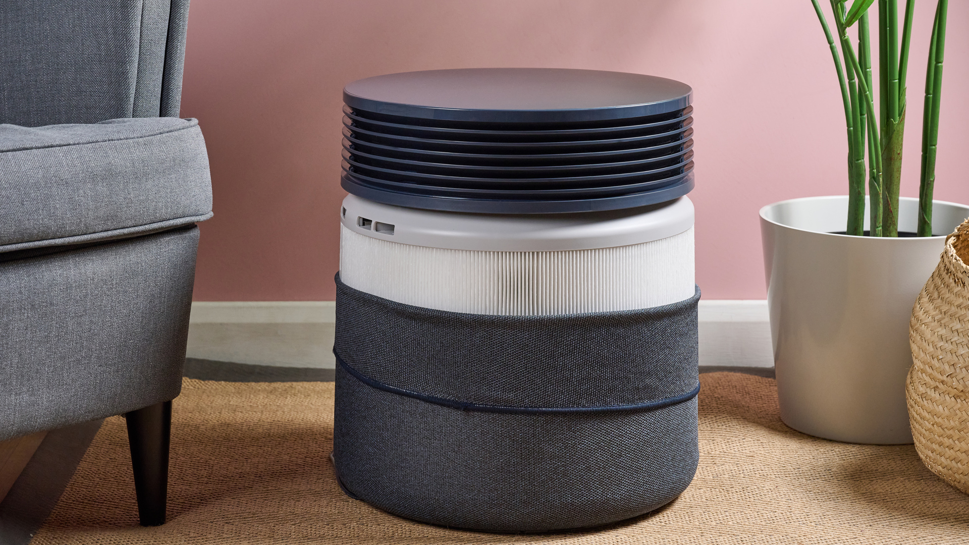 Обзор Blueair Blue Signature — стиль и эффективность