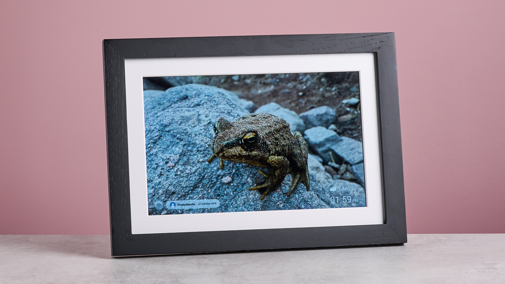 Обзор Eptusmey 10.1 — недорогая WiFi-фоторамка