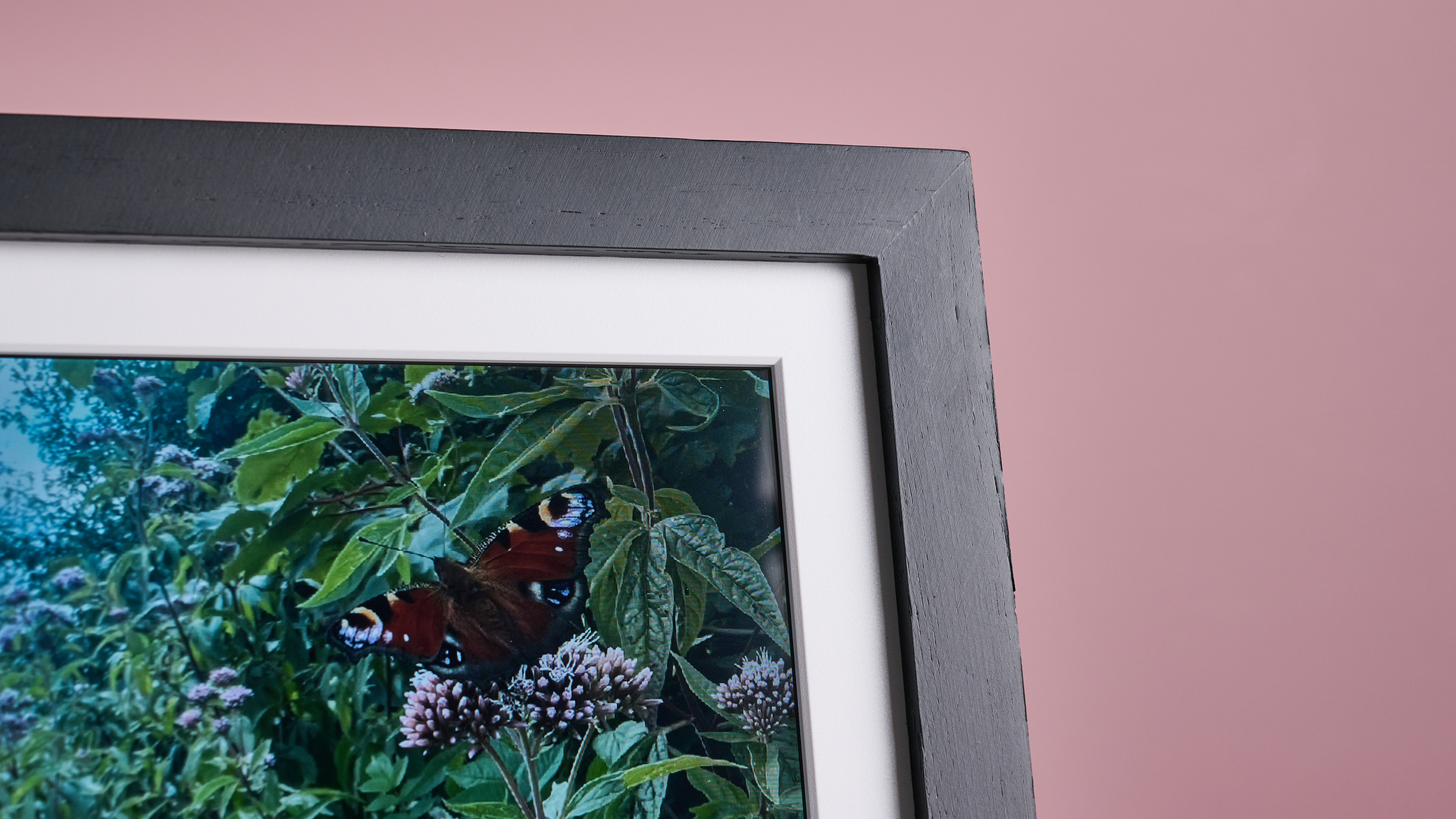 Обзор Eptusmey 10.1 — недорогая WiFi-фоторамка