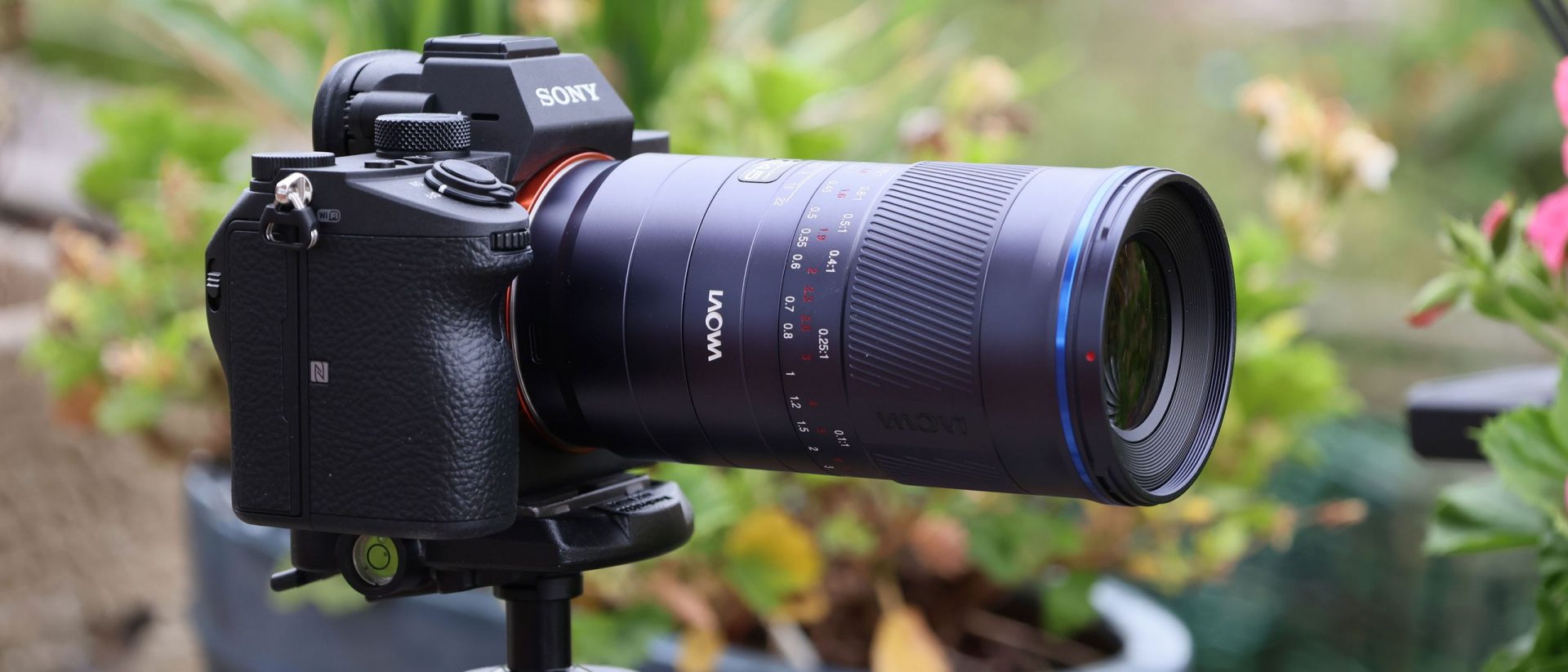 525126Обзор Laowa 180mm f/4.5 Ultra Macro APO — макро и телеобъектив