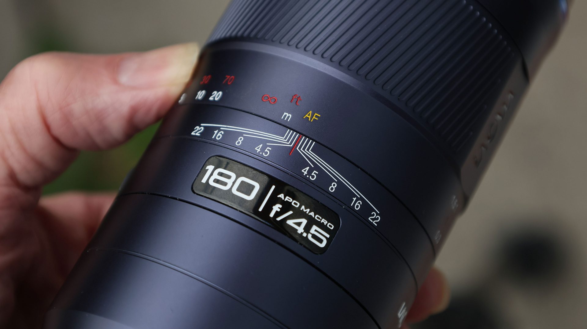 Обзор Laowa 180mm f/4.5 1.5X Ultra Macro APO — макро