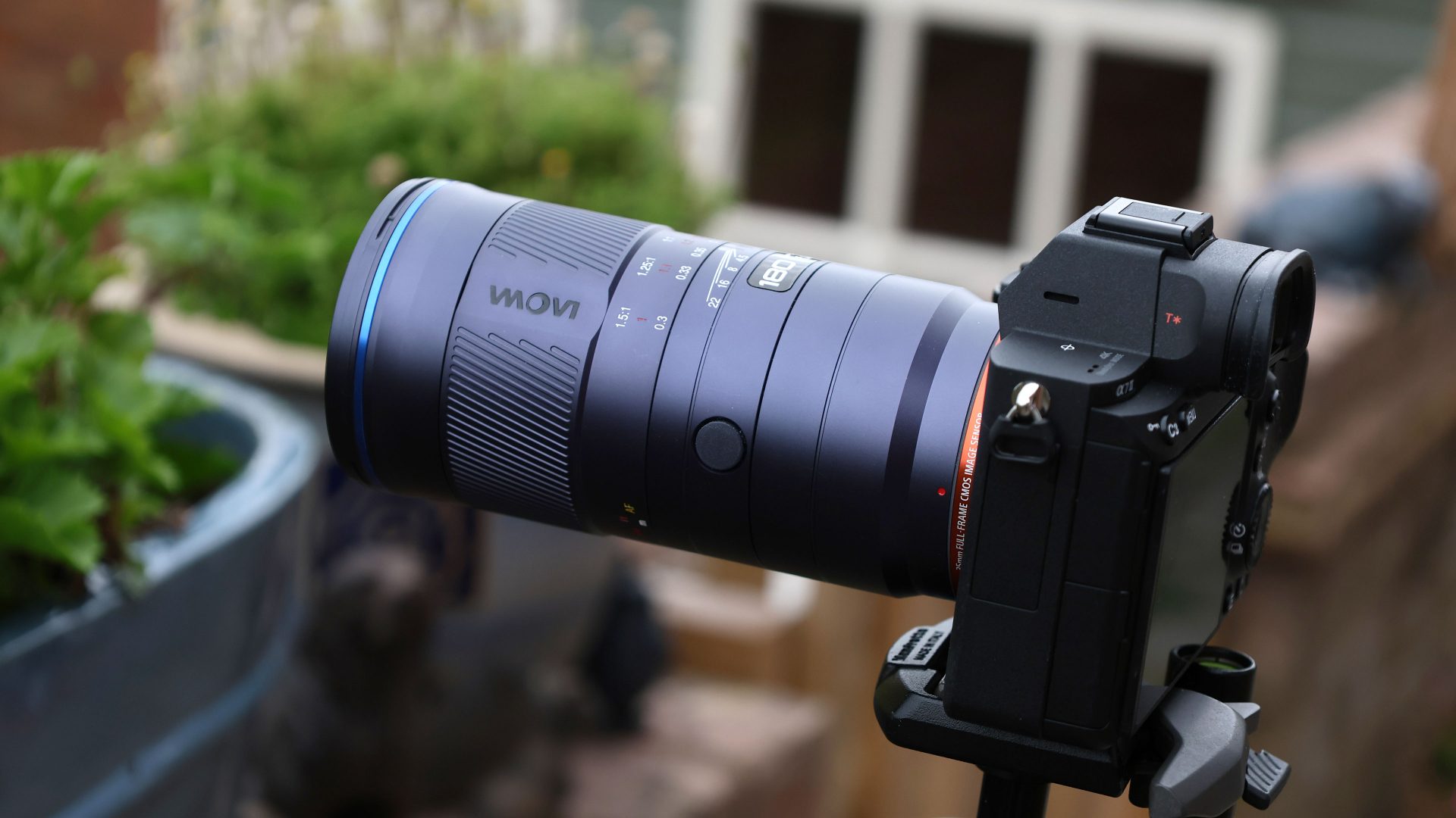 Обзор Laowa 180mm f/4.5 1.5X Ultra Macro APO — макро