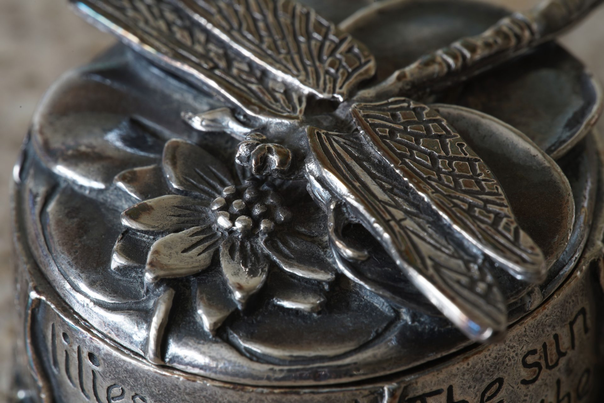 Обзор Laowa 180mm f/4.5 1.5X Ultra Macro APO — макро