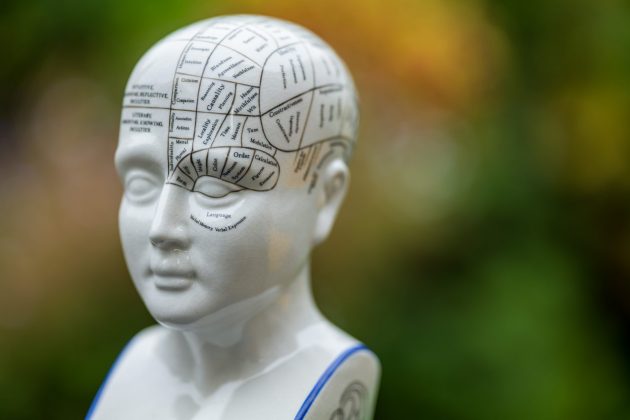 Обзор Sigma 135mm f/1.4 DG Art — портретник f/1.4