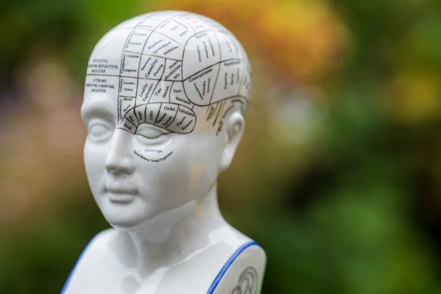 Обзор Sigma 135mm f/1.4 DG Art — портретник f/1.4