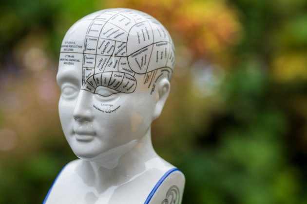 Обзор Sigma 135mm f/1.4 DG Art — портретник f/1.4